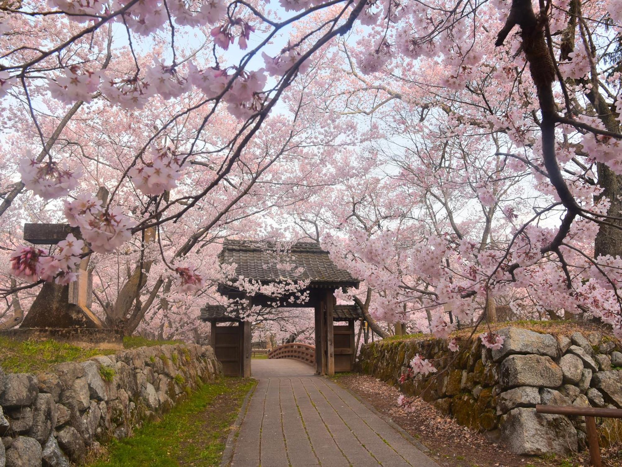 Yoshinotei Hotel Iida Buitenkant foto