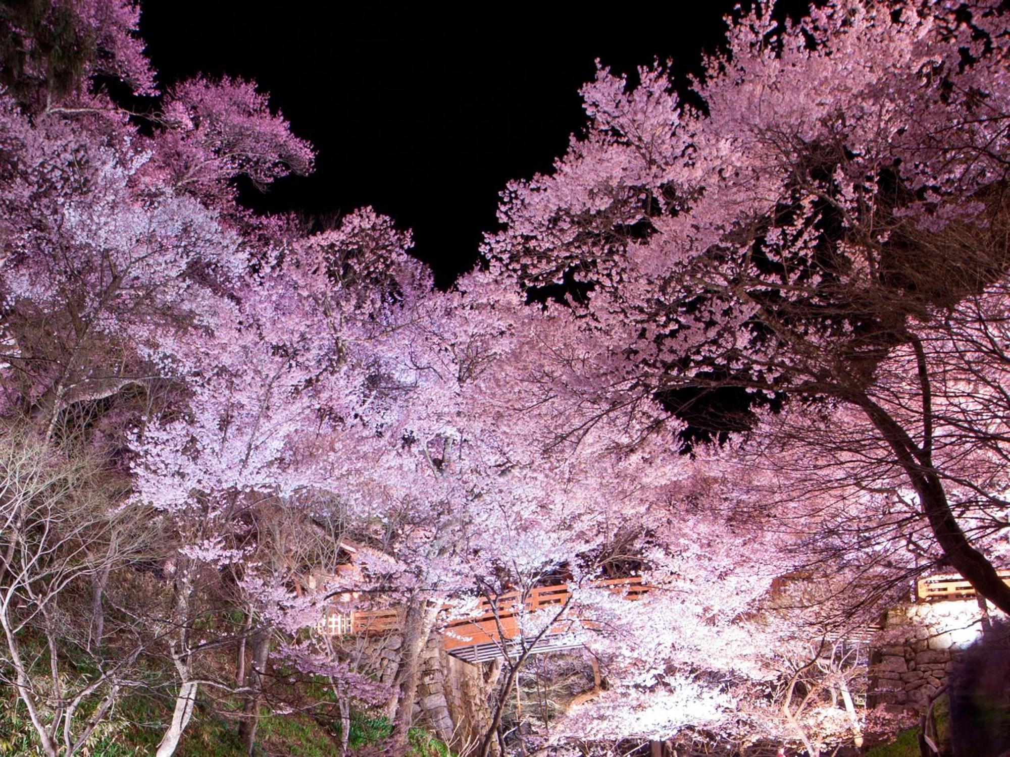 Yoshinotei Hotel Iida Buitenkant foto