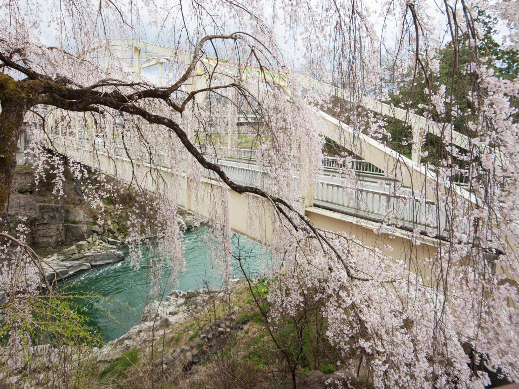 Yoshinotei Hotel Iida Buitenkant foto